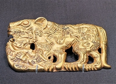 “金玉华光 多彩中华”特展展出的虎豕咬斗纹金牌饰展品。 本报记者 张 枨摄