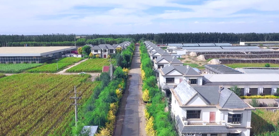 联丰村村貌