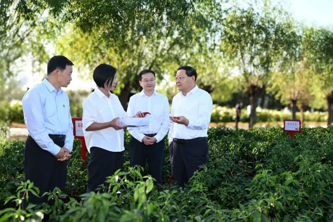9月2日,自治区党委书记、人大常委会主任王伟中来到开鲁县东风镇双林村,详细了解高标准农田项目建设、验收、后期管护等情况。草原云·内蒙古新闻网记者 马建兵 摄