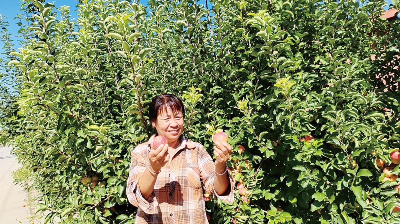 果子熟了
