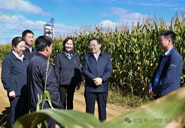 9月20日,自治区党委书记、人大常委会主任王伟中来到扎赉特旗巴彦高勒镇永和村,实地察看作物长势、泵站管护和水肥一体化灌溉等情况。草原云记者 马建兵 摄 图片