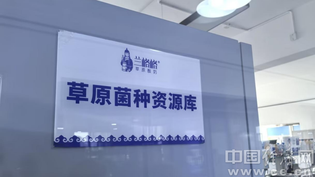 图为兰格格实验室里的草原菌种资源库。 中国经济网记者 魏金金 摄