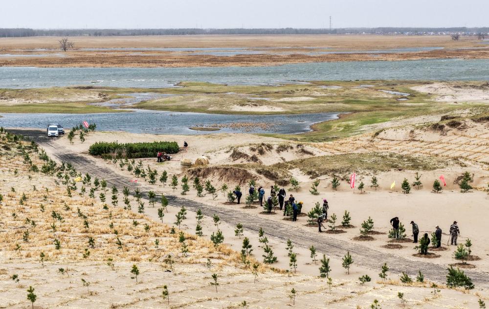 2026年4月19日,治沙工人们在内蒙古科尔沁沙地束力古台防沙治沙项目区植树(无人机照片)。新华社记者 连振 摄